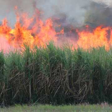 Brendan and Jo Moffat testimonial image