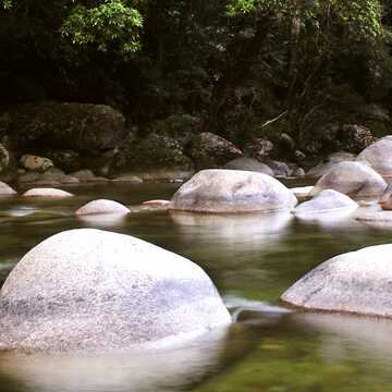 David Dunworth testimonial image