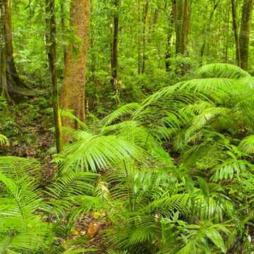 Angela Morfea testimonial image