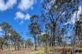 Whispering Gums of a Corner Block