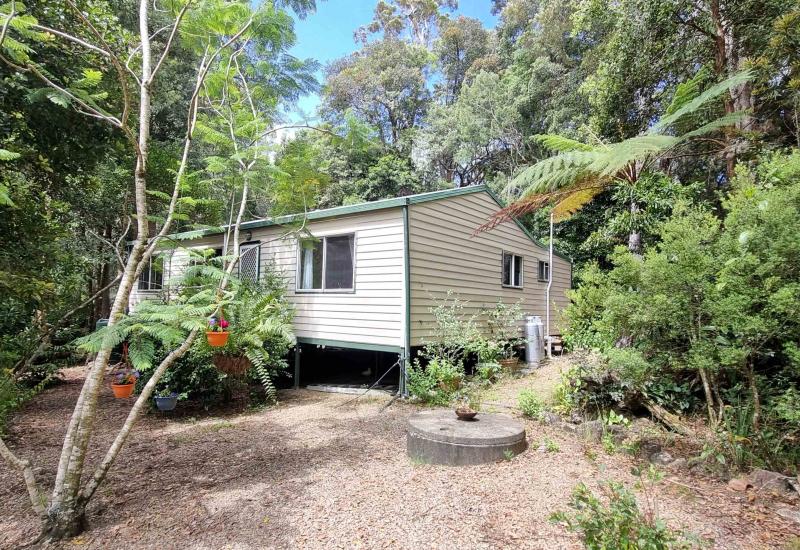 Escape to the Forest