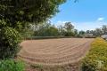 Equestrian Paradise Meets Country Lifestyle