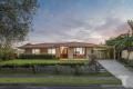 Elevated Low-Set Home in a Peaceful Position Opposite Tillack Park