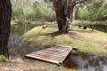Grampians Getaway: 40 Acres of Endless Potential - 1064CPF