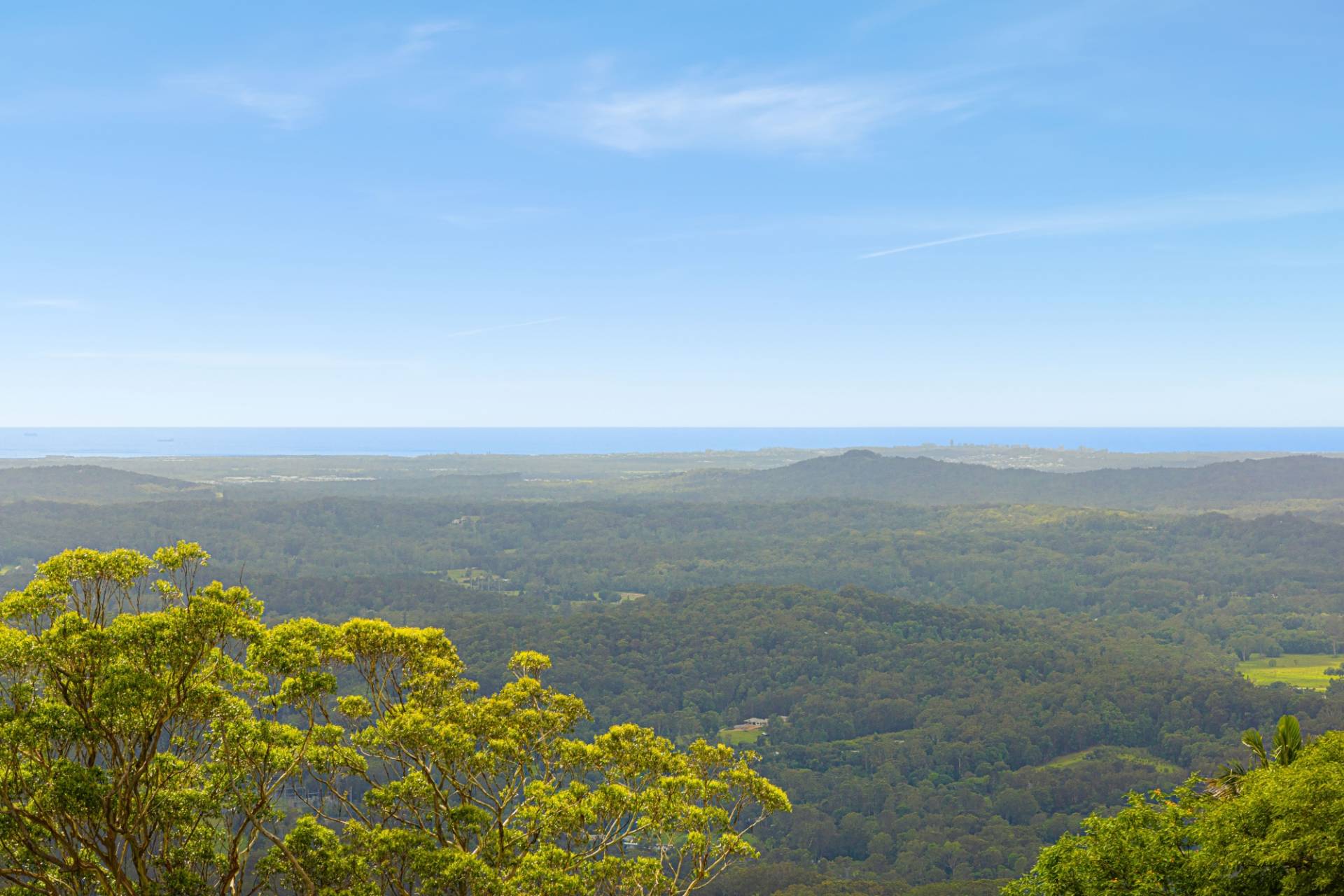 75 Balmoral Road, Montville - Thumbnail 4
