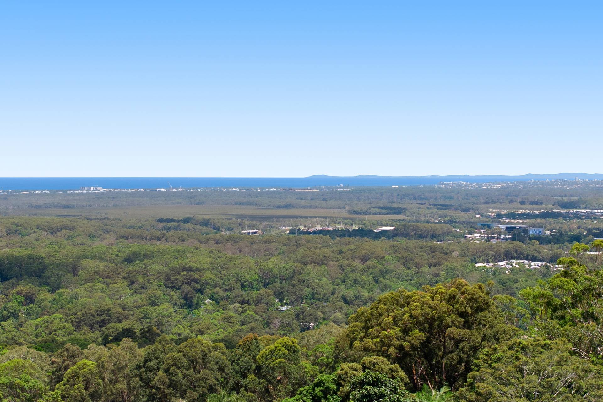 155 Burnett Street, Buderim - Thumbnail 5