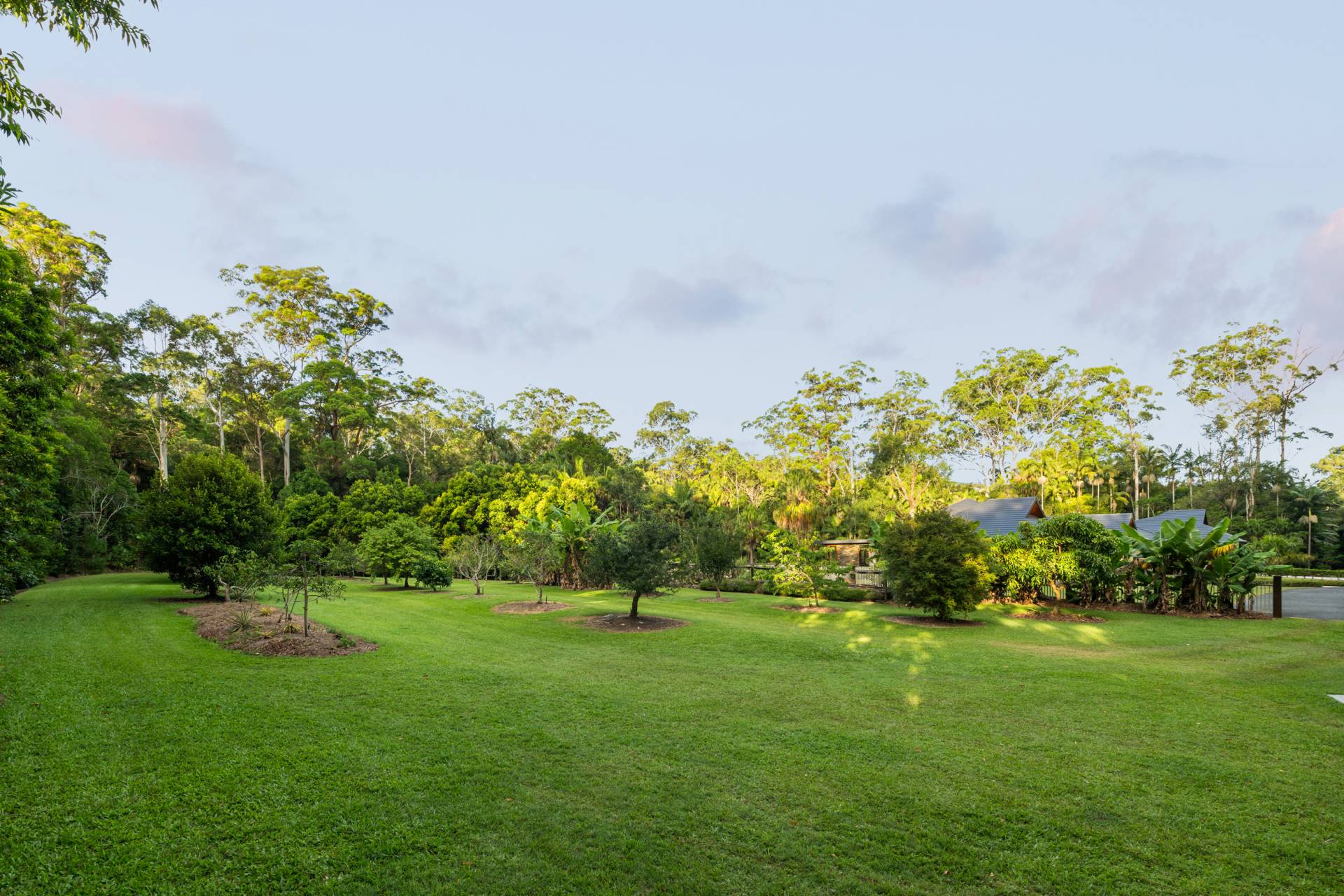 11 Lynd Court, Buderim - Thumbnail 7