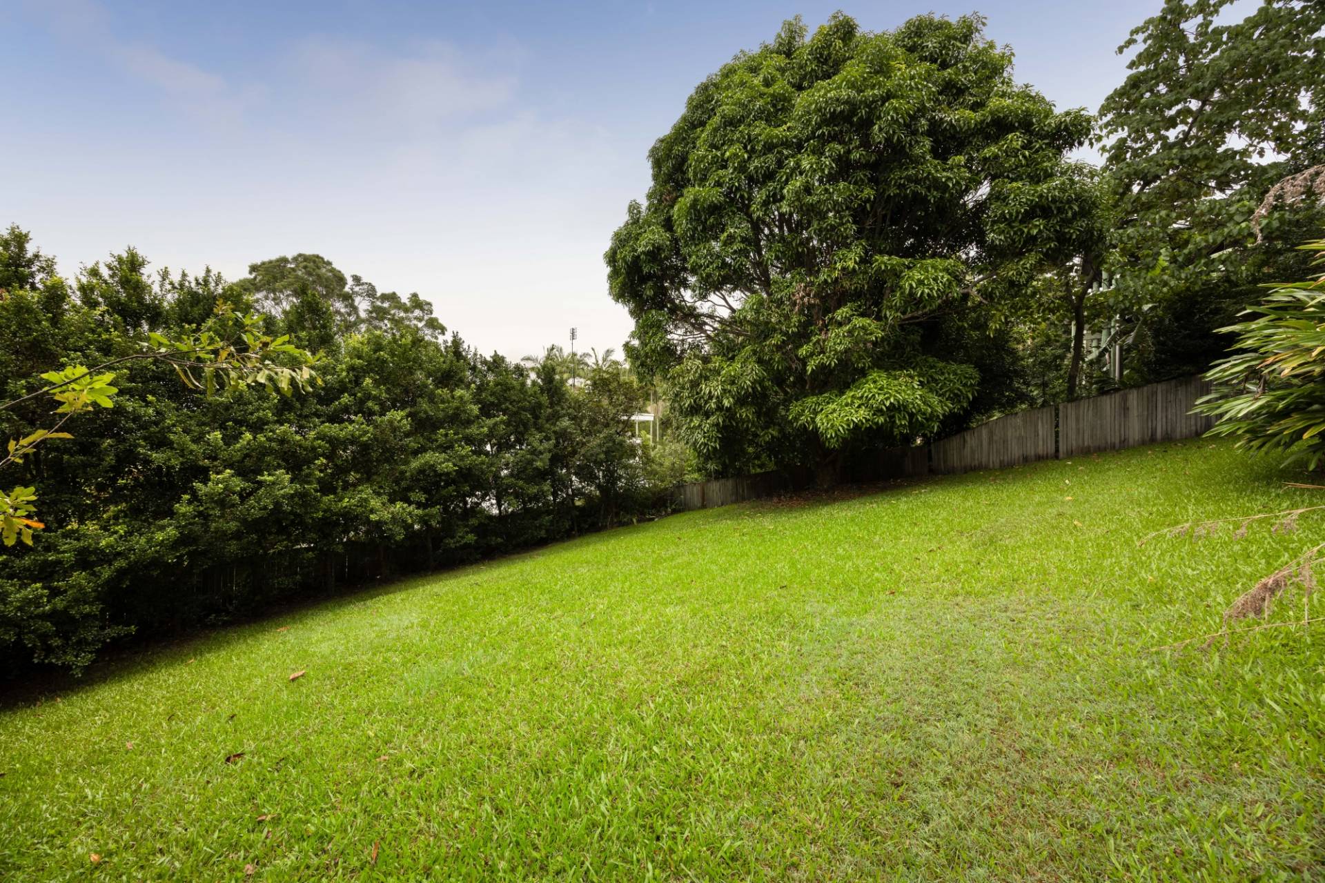 21 Nyes Crescent, Buderim - Thumbnail 8