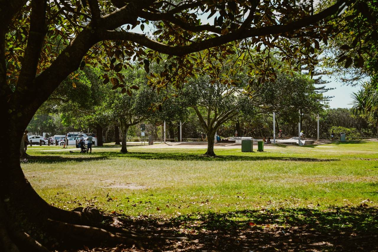 20 Rosewood Place, Peregian Springs - Thumbnail 8