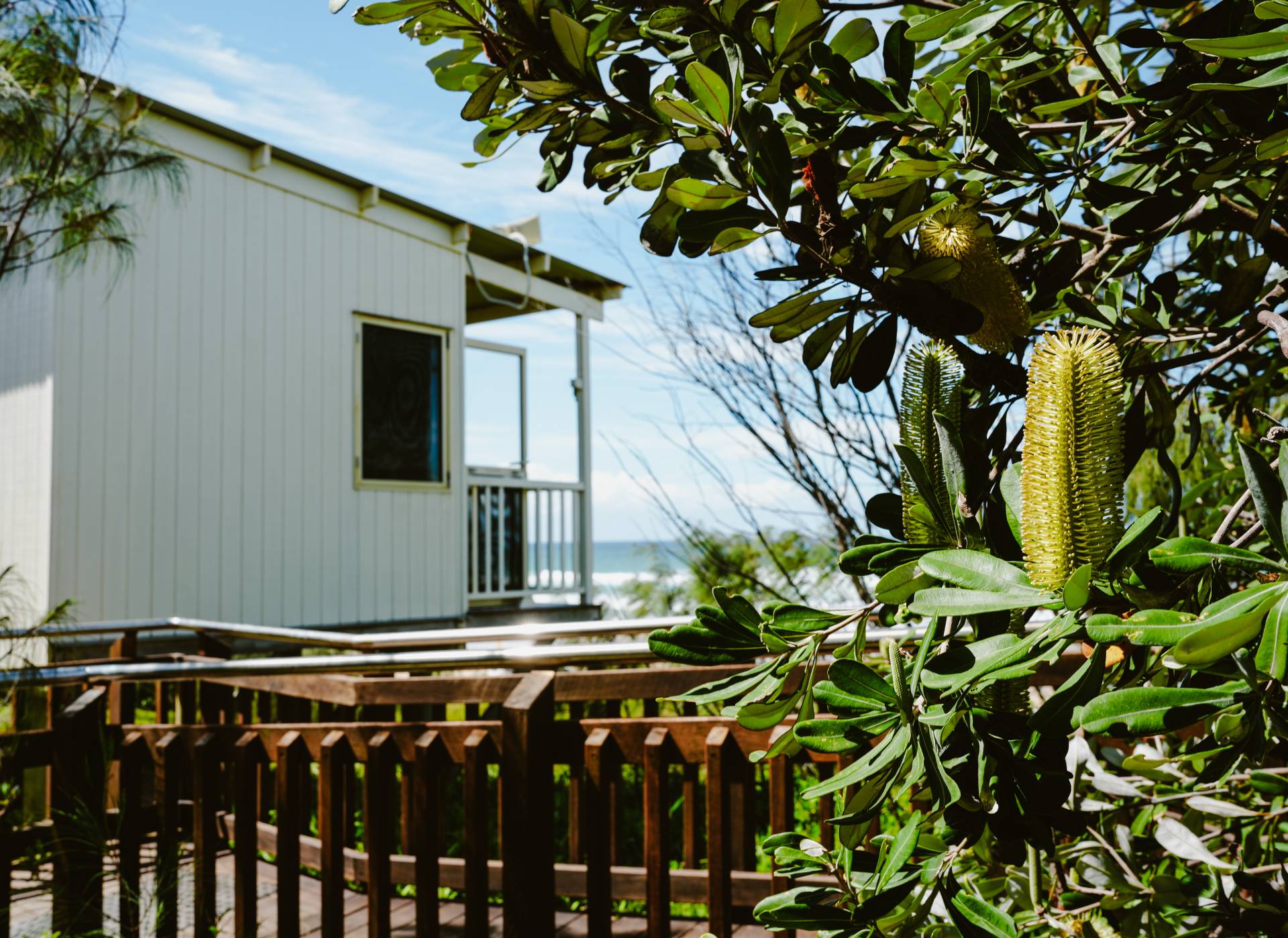 11 Pavilion Drive, Peregian Springs - Thumbnail 8