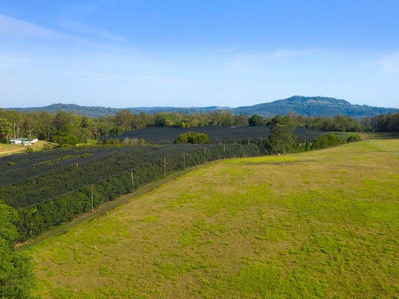 Lot 1, 43 Lindeman Road, Beerwah - Thumbnail 4