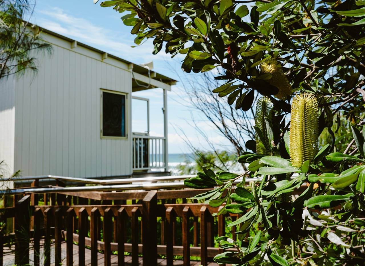 22 Rosewood Place, Peregian Springs - Thumbnail 3