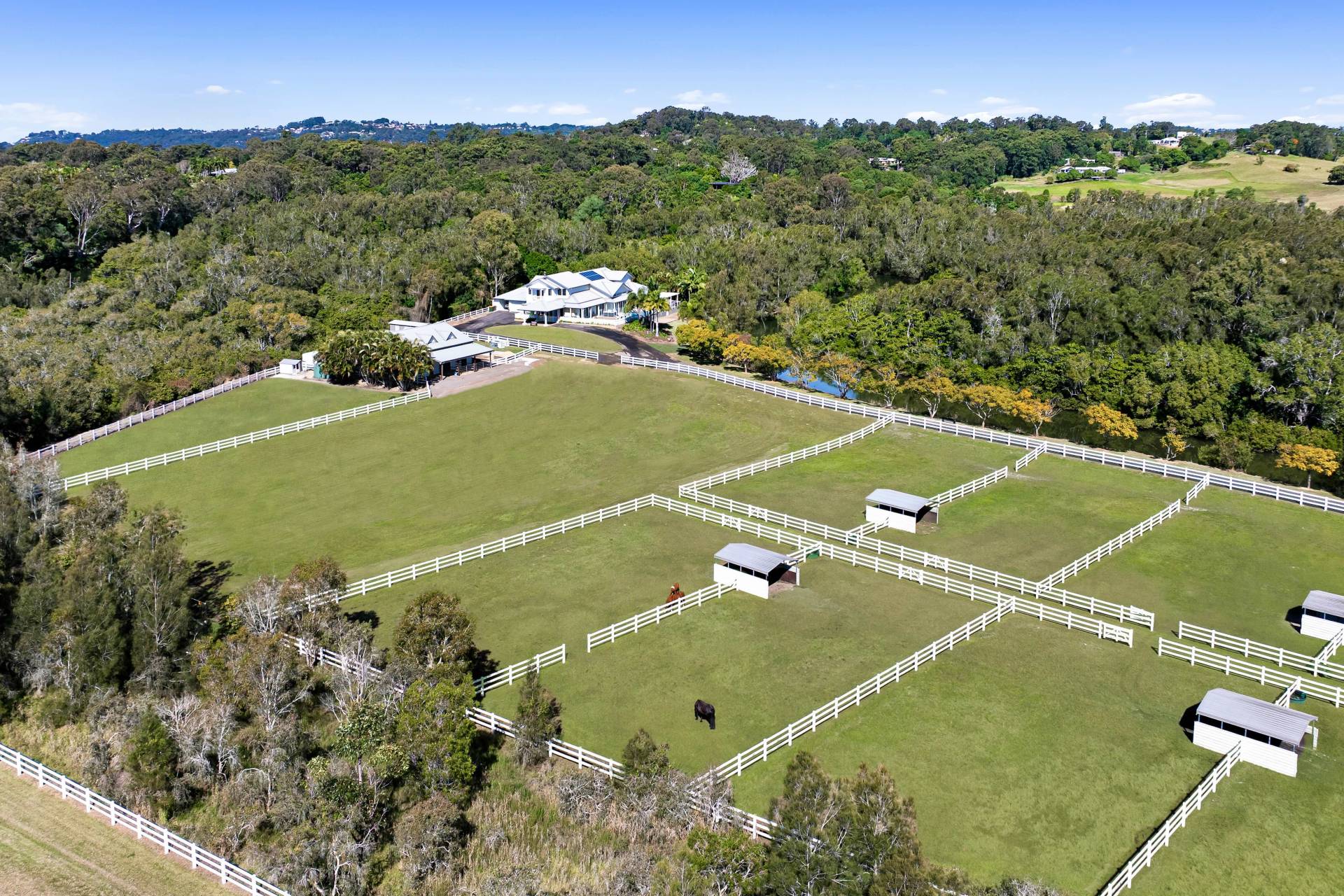 660 Petrie Creek Road, Rosemount - Thumbnail 6