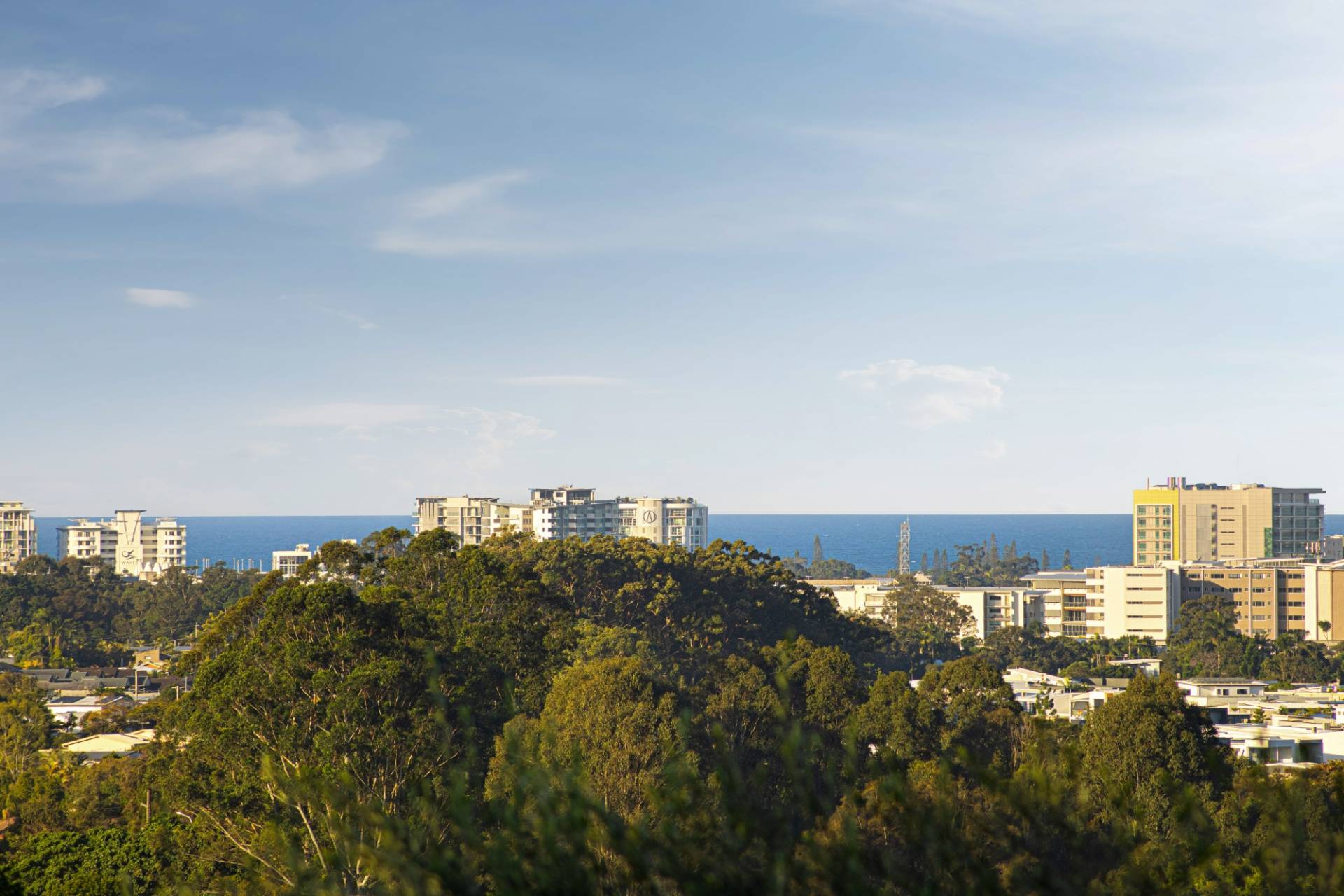 37 Kerenjon Avenue, Buderim - Thumbnail 4