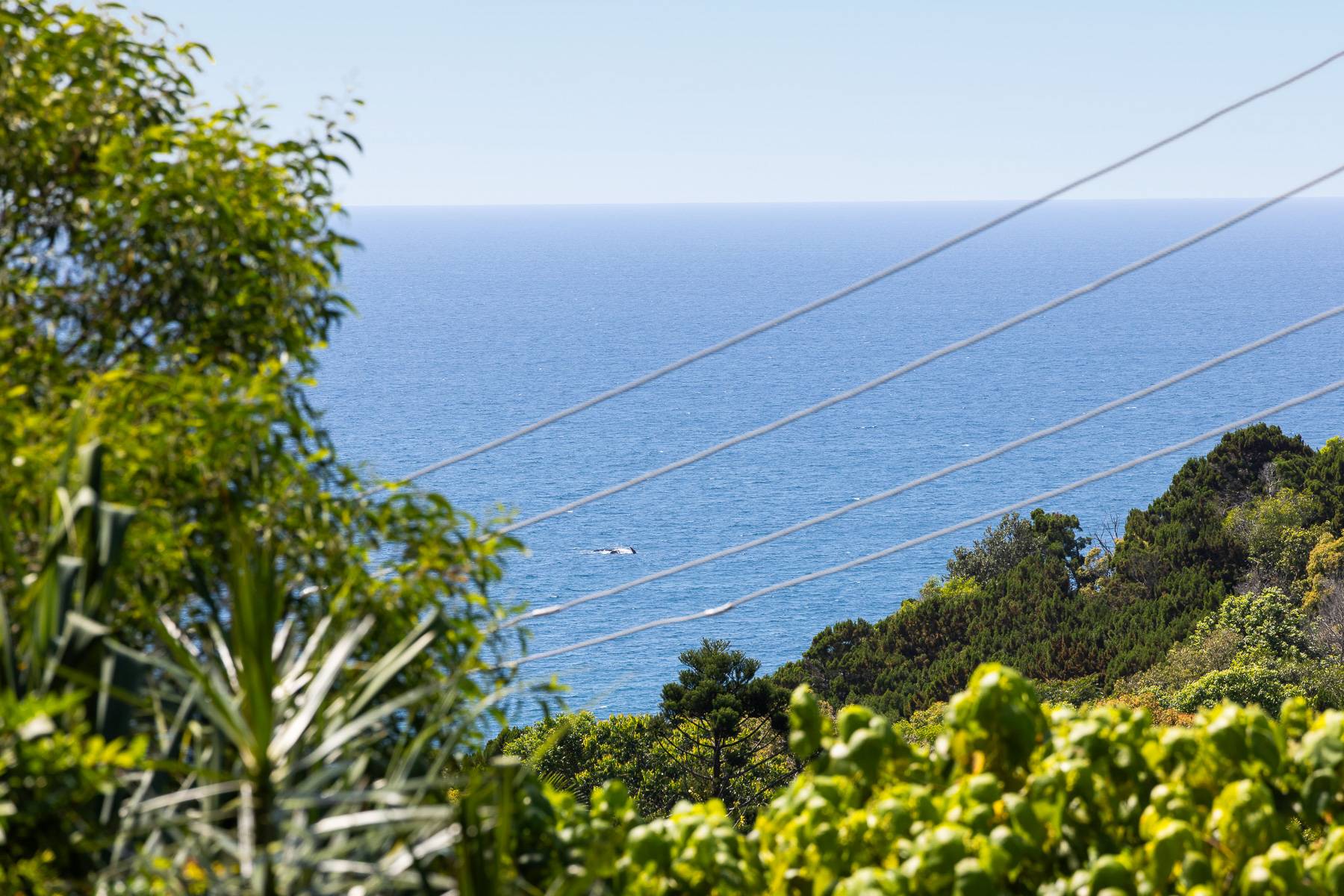 4 Sandy Cove Crescent, Coolum Beach - Thumbnail 3