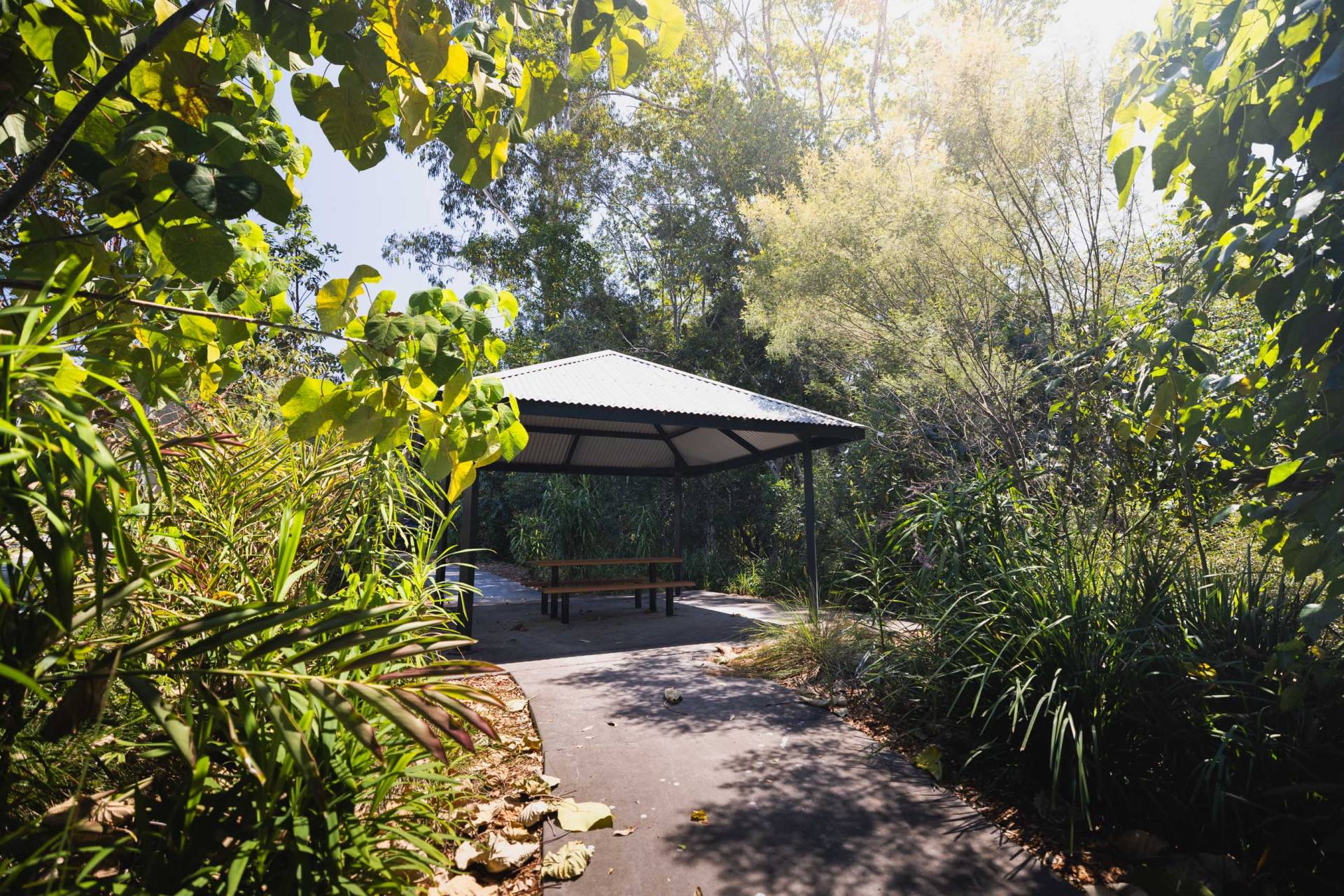 58 Hilltop Drive, Burnside - Thumbnail 8