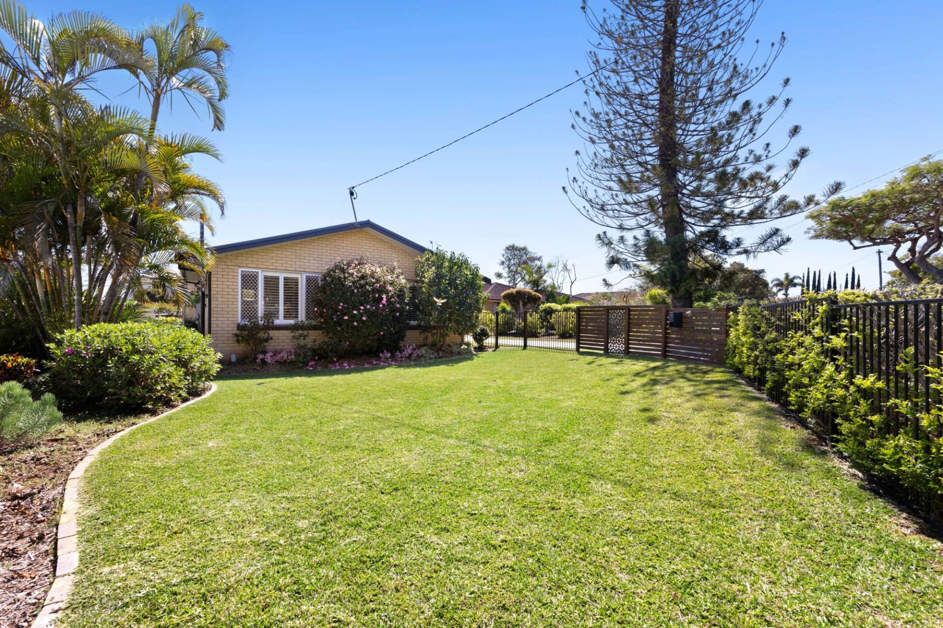 5 Gilbert Street, Buderim - Thumbnail 4
