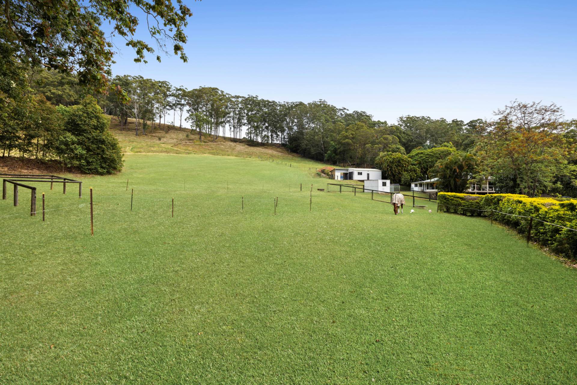 212 Petrie Creek, Rosemount - Thumbnail 6
