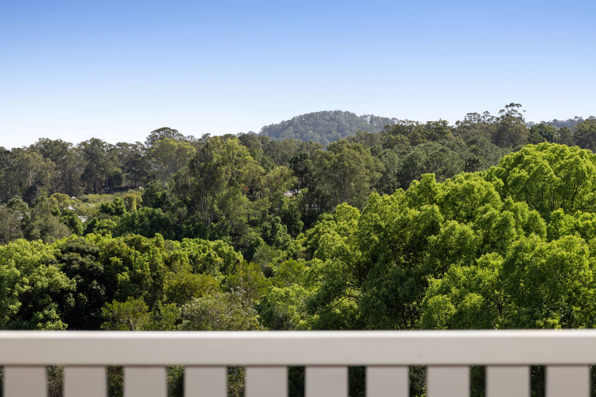 3 Lorikeet Place, Burnside - Thumbnail 5