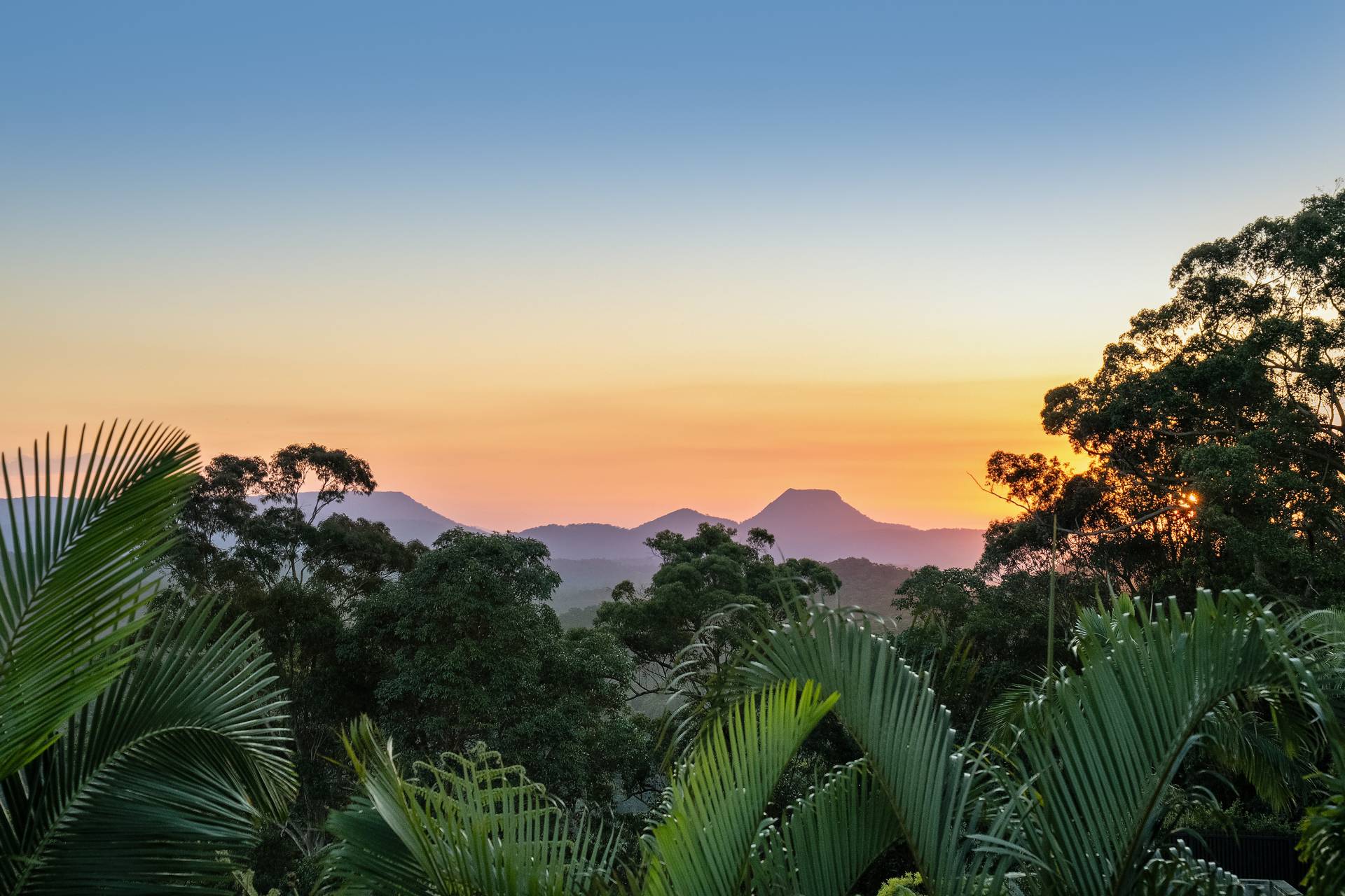 60 Musgrave Drive, Yandina Creek - Thumbnail 6
