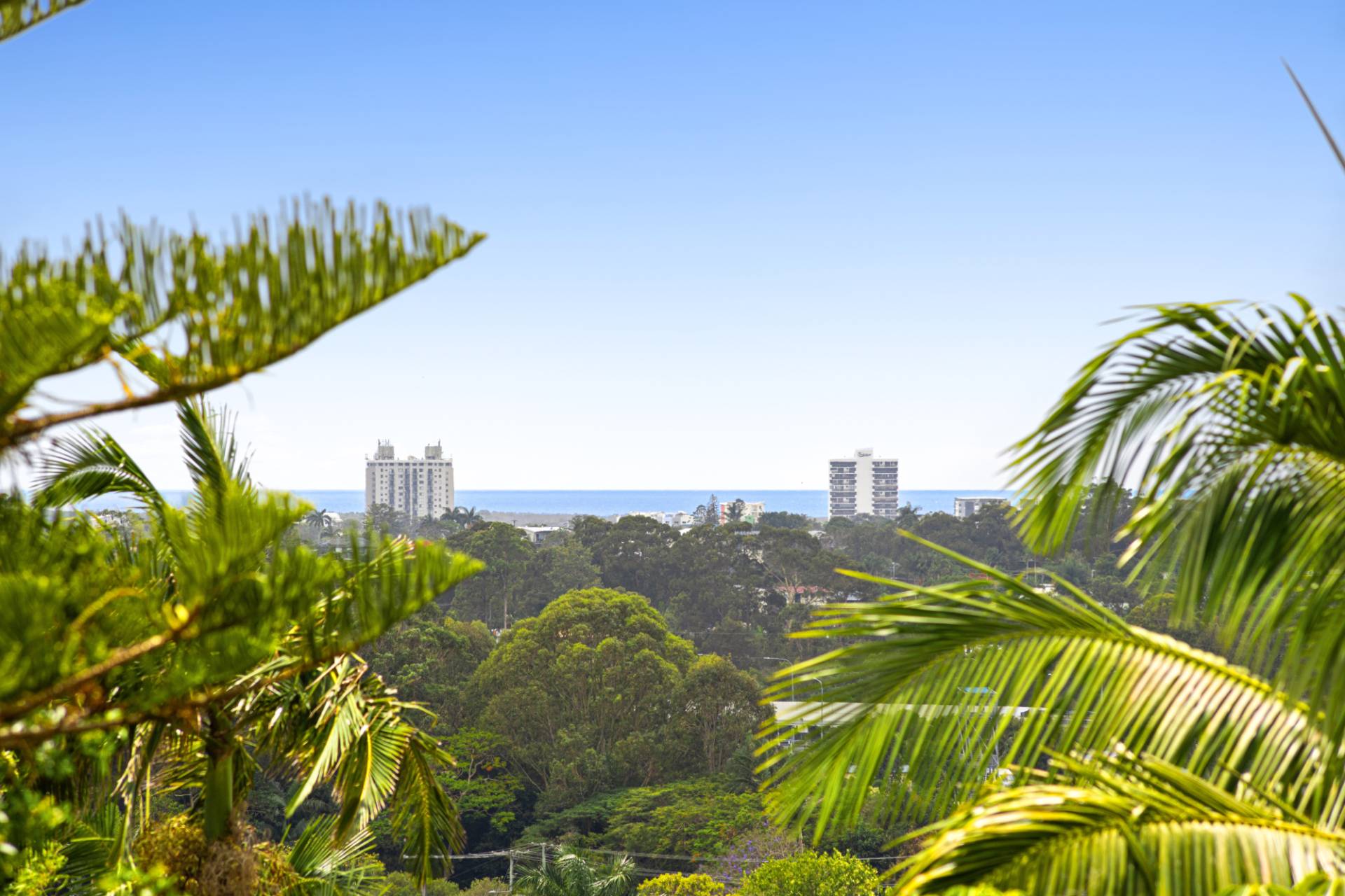 39 Kerenjon Avenue, Buderim - Thumbnail 7