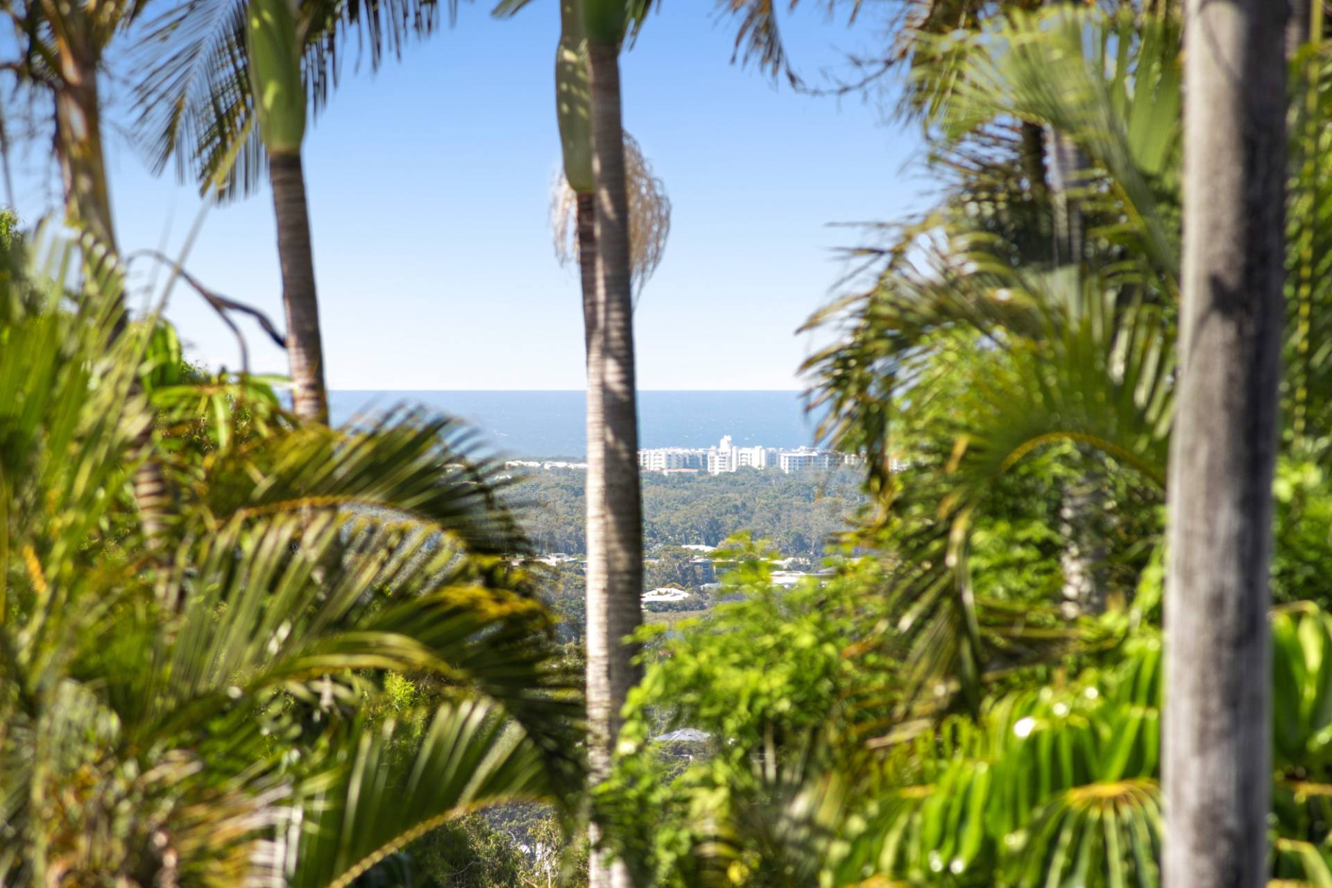 3 Booral  Street, Buderim - Thumbnail 7