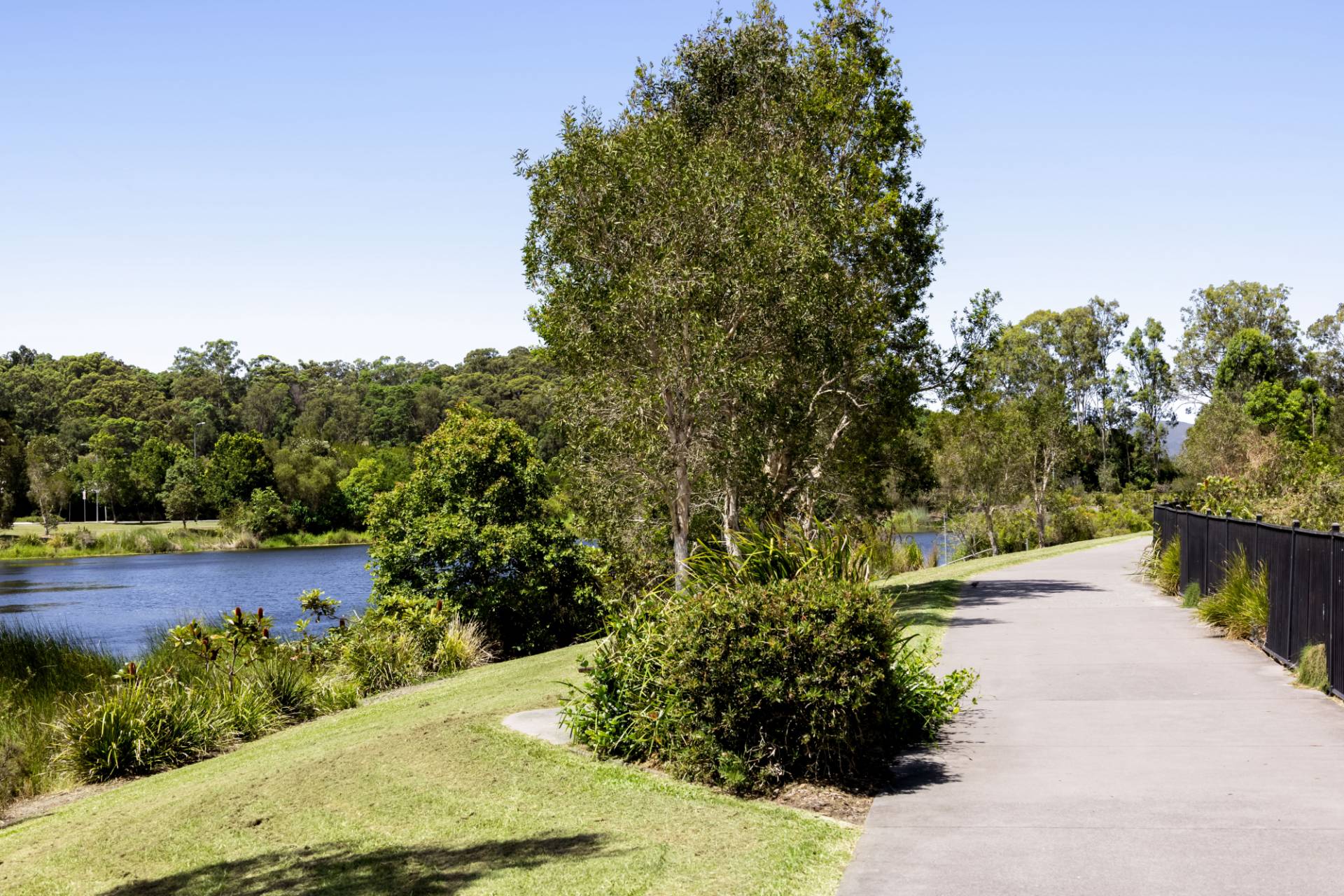 62 Camelot Court, Bli Bli - Image 1