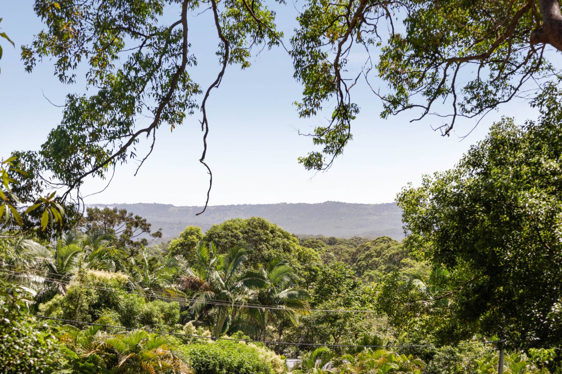 16 Mons Road, Buderim - Thumbnail 4