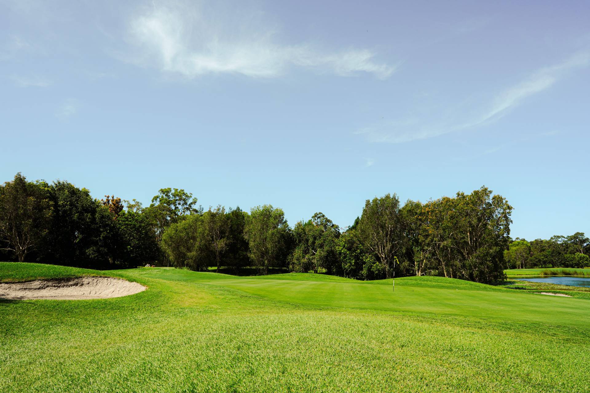 9 Lacewood Place, Peregian Springs - Thumbnail 7