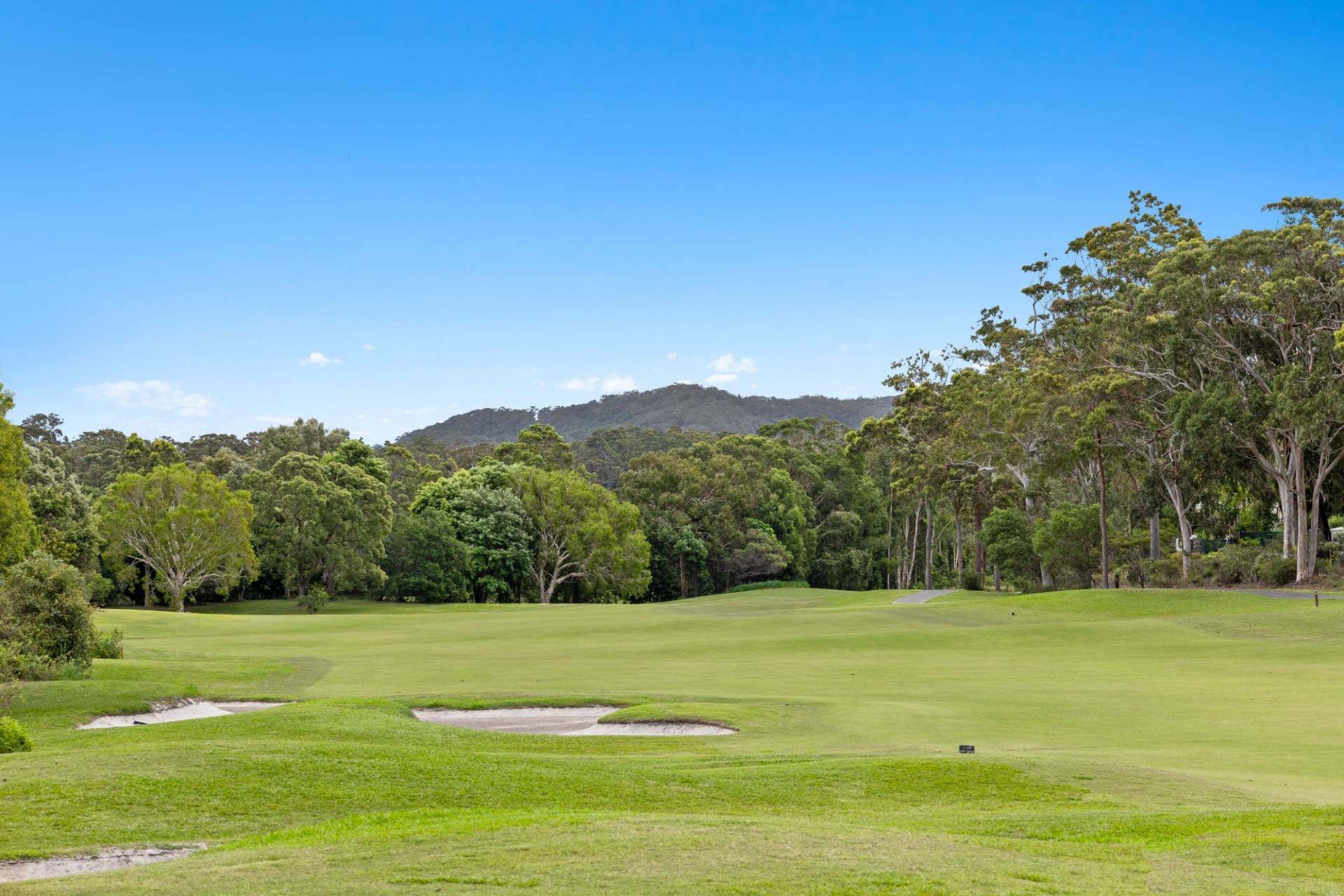 9 Lacewood Place, Peregian Springs - Thumbnail 6