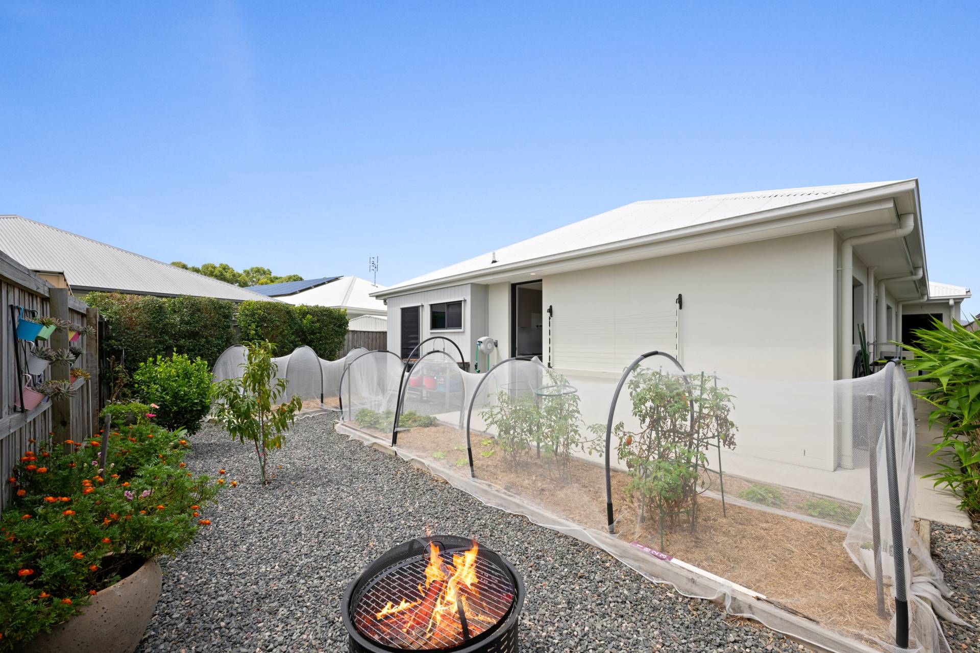 4 Weebill Street, Palmview - Thumbnail 4
