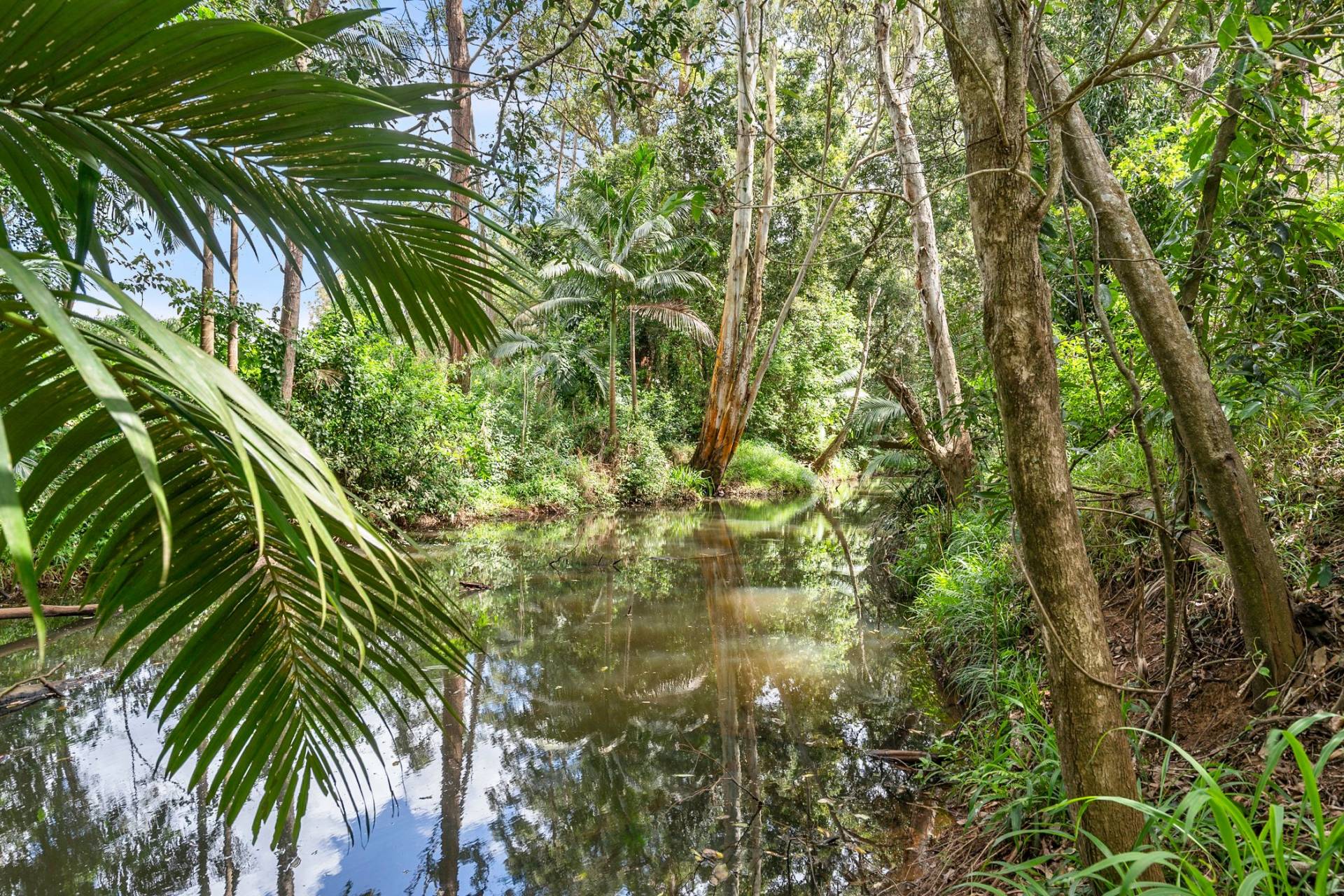 136 Lindeman Road, Beerwah - Thumbnail 5