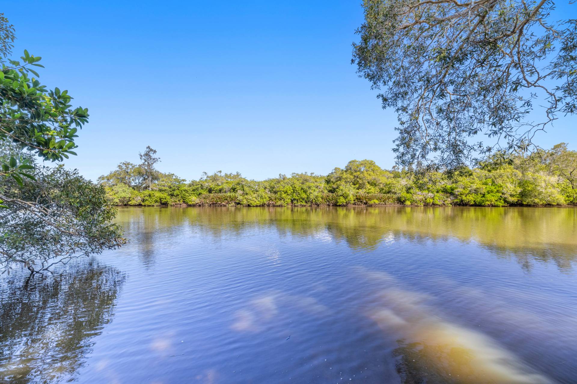 56 Bahdilli Crescent, Diddillibah - Thumbnail 6