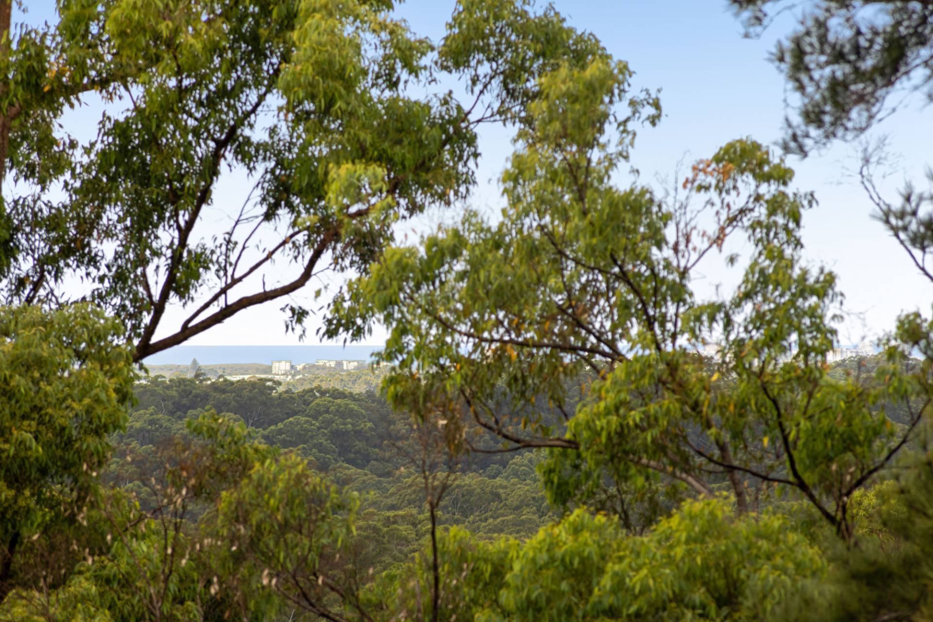 5 Kerada Road, Nambour - Thumbnail 2