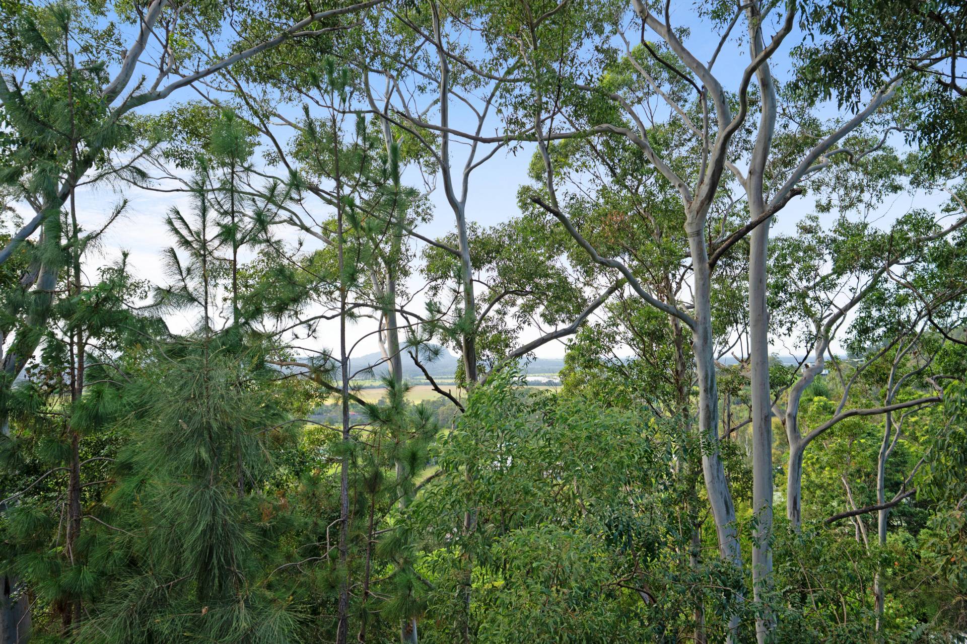 102 Thomson Valley Road, Valdora - Thumbnail 5