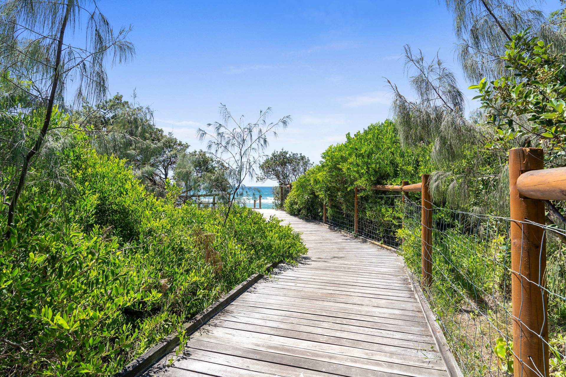 5 Sierra Place, Mount Coolum - Thumbnail 5