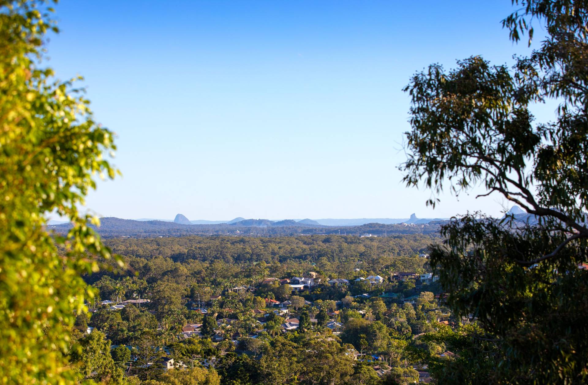 12 Curlew Lane, Buderim - Thumbnail 3