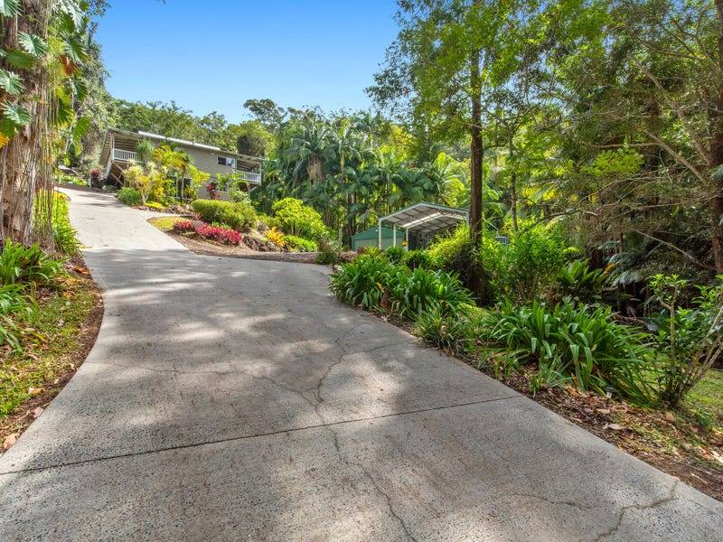 117 Taylors Road, Buderim - Thumbnail 4