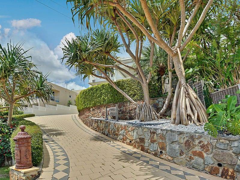 20 Moorabinda Street, Buderim - Thumbnail 4