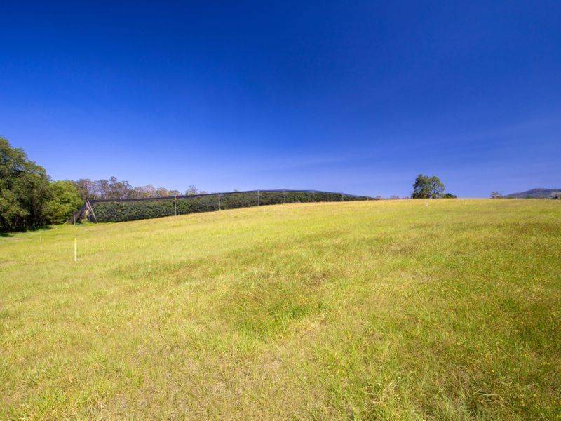 43 Lindeman Road, Beerwah - Thumbnail 3