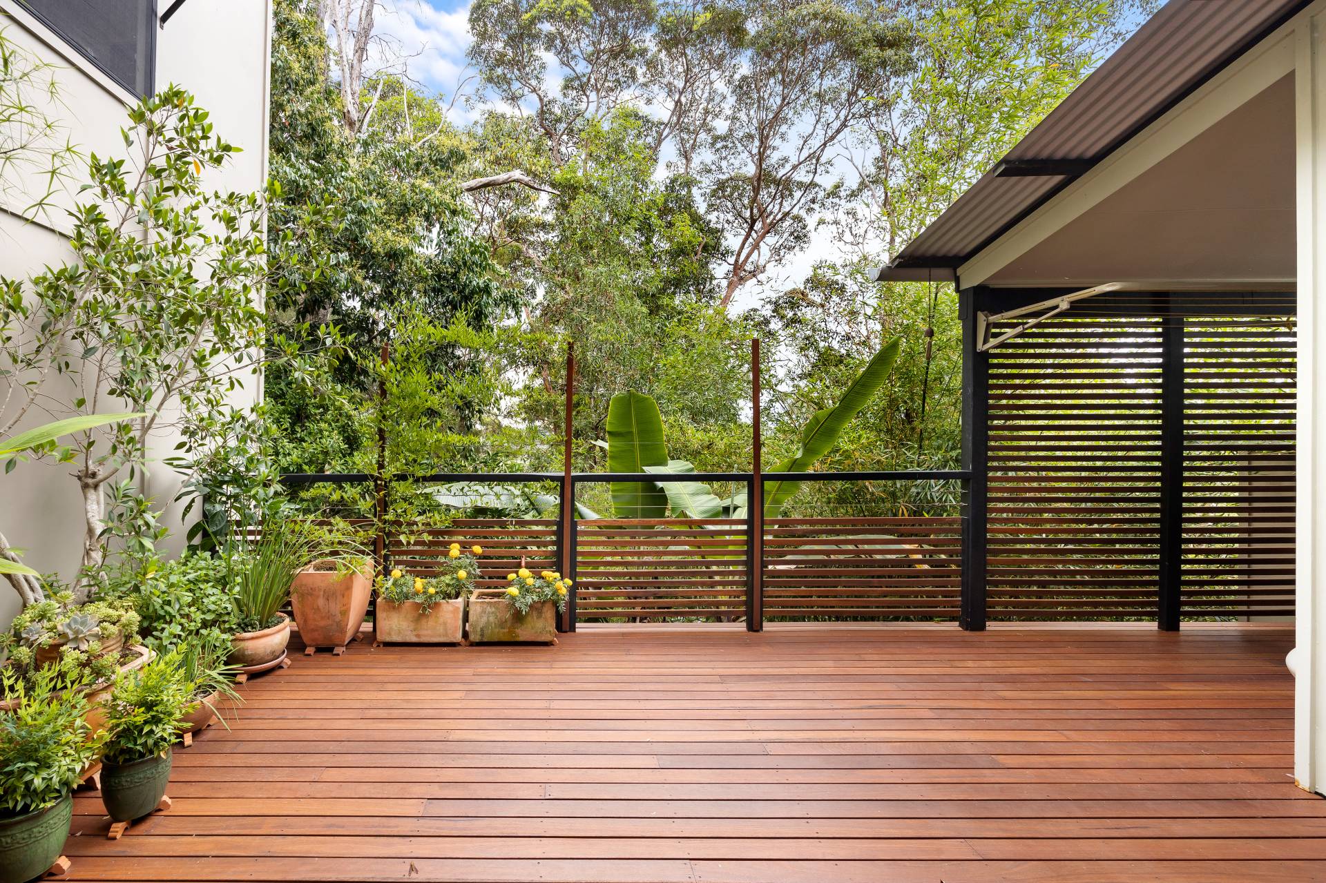 31 Noonameena Court, Mount Coolum - Thumbnail 7