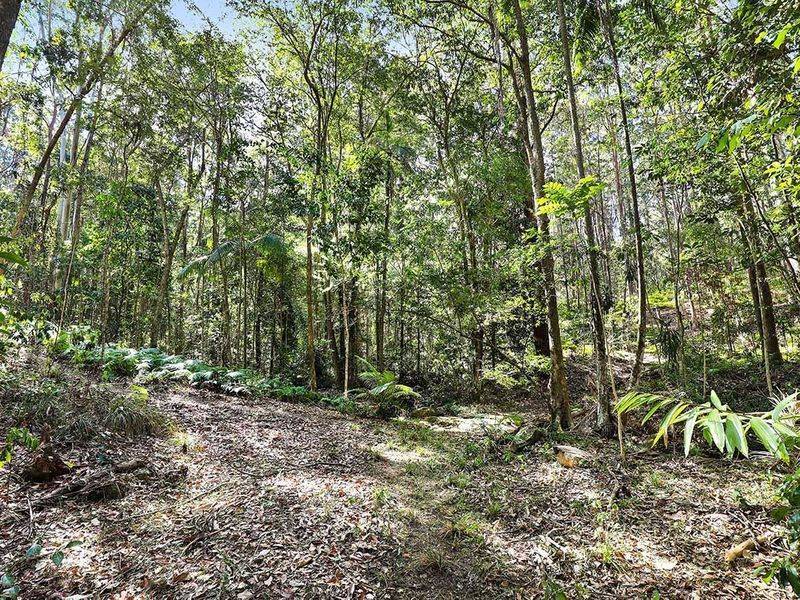 Lot 1 & 2, 76 Ballinger Road, Buderim - Thumbnail 6