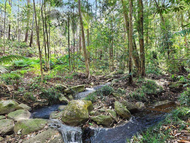 Lot 1 & 2, 76 Ballinger Road, Buderim - Thumbnail 3