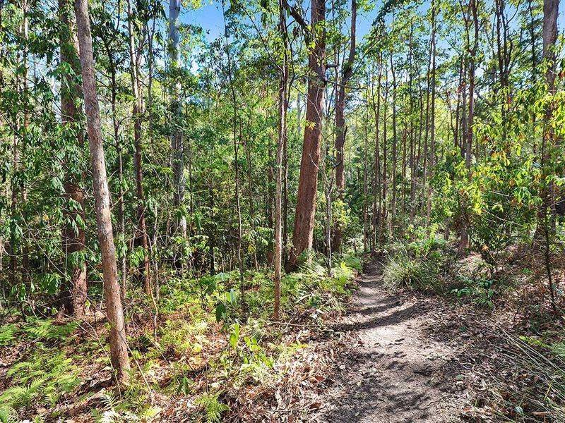 Lot 1 & 2, 76 Ballinger Road, Buderim - Thumbnail 8