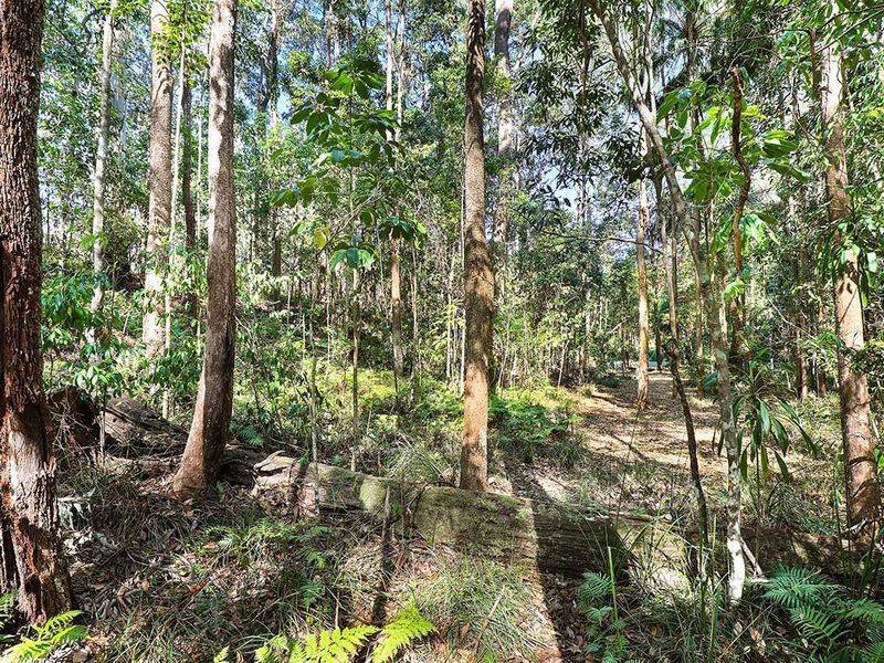 Lot 1 & 2, 76 Ballinger Road, Buderim - Thumbnail 7