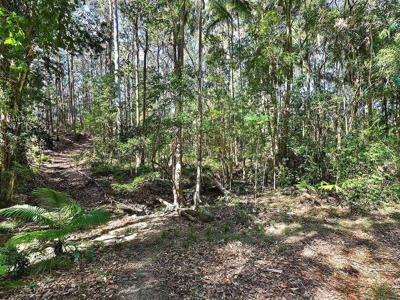 Lot 1 & 2, 76 Ballinger Road, Buderim - Thumbnail 5