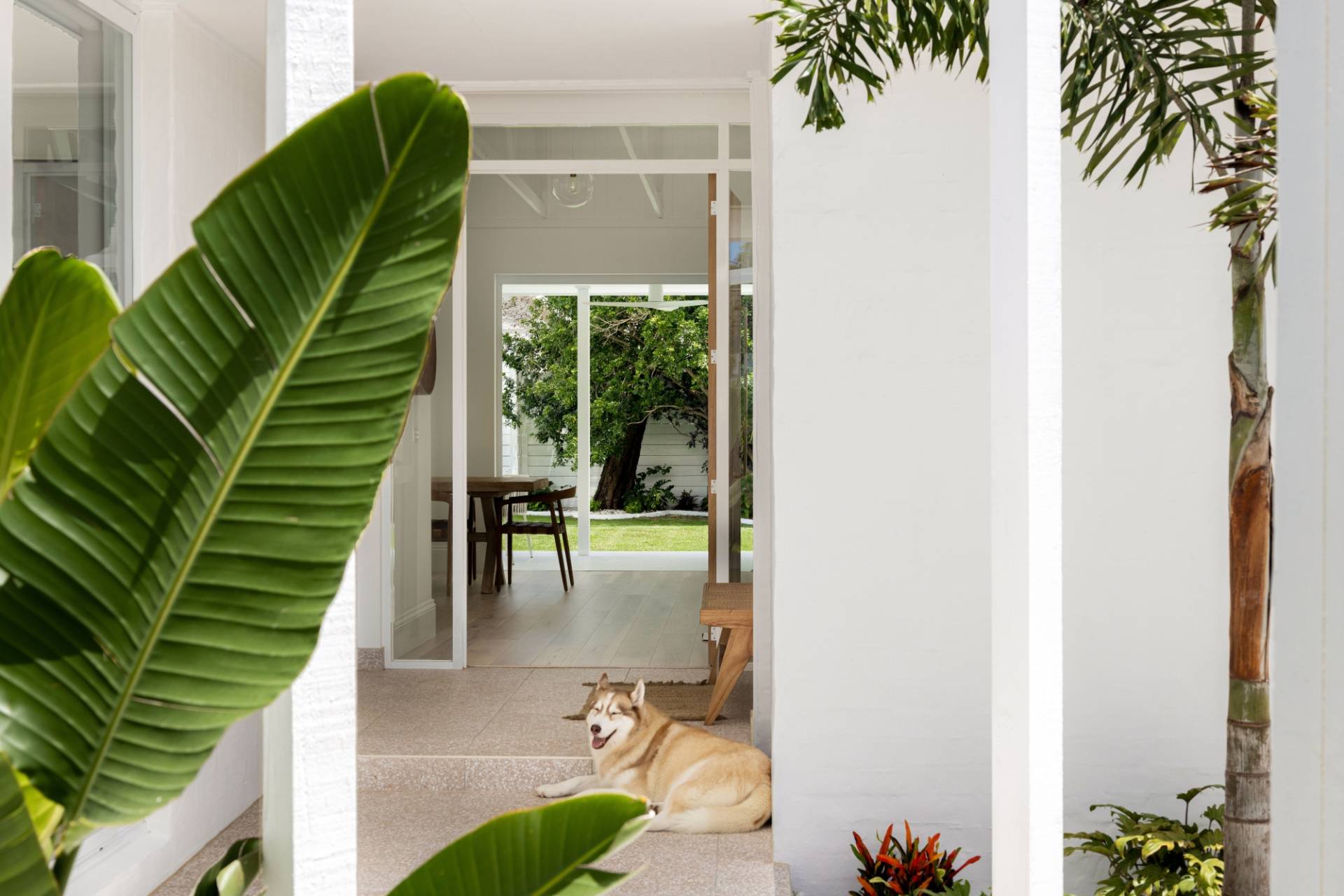5 Allamanda Avenue, Buderim - Thumbnail 4