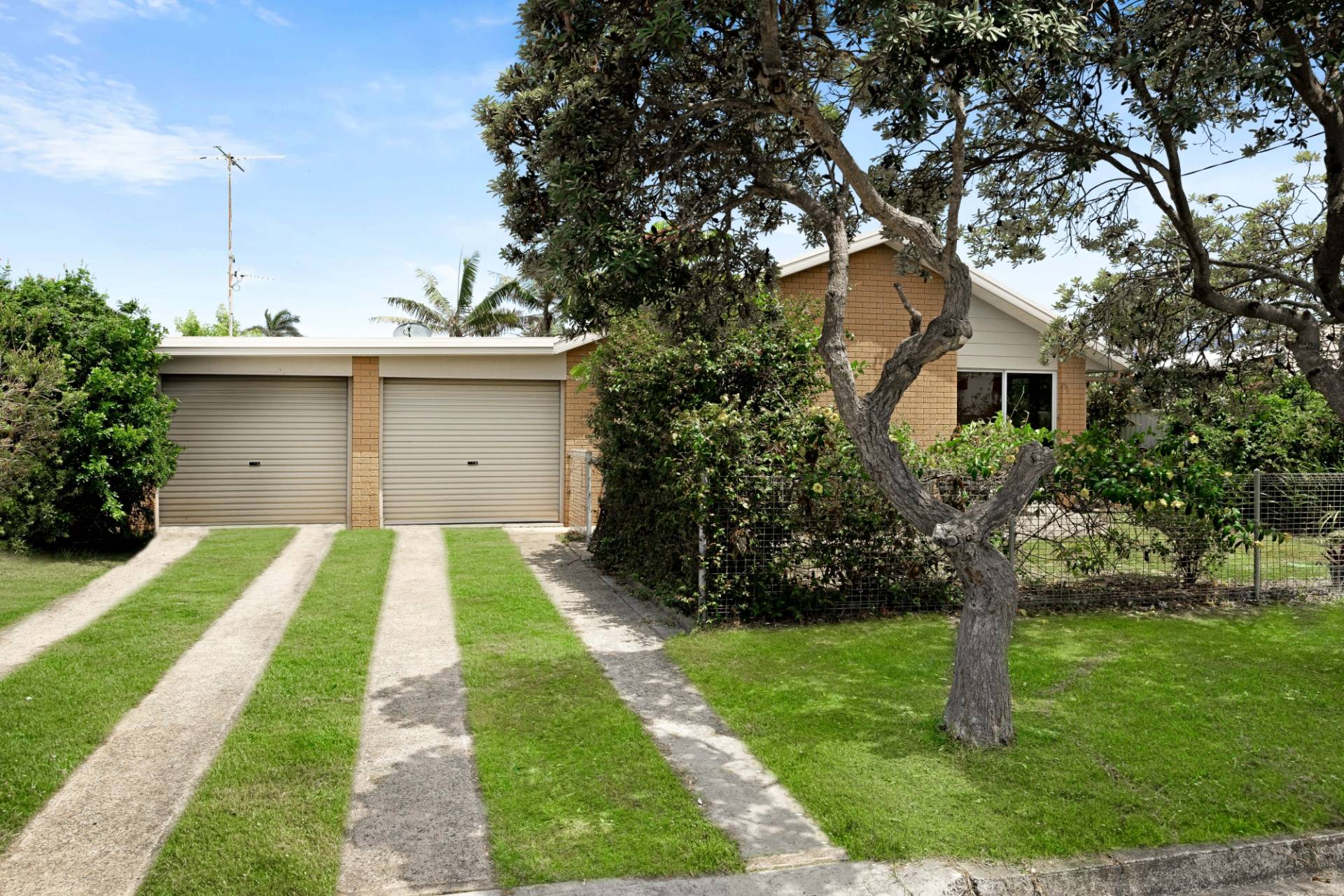 6 Werona Street, Buddina - Thumbnail 2