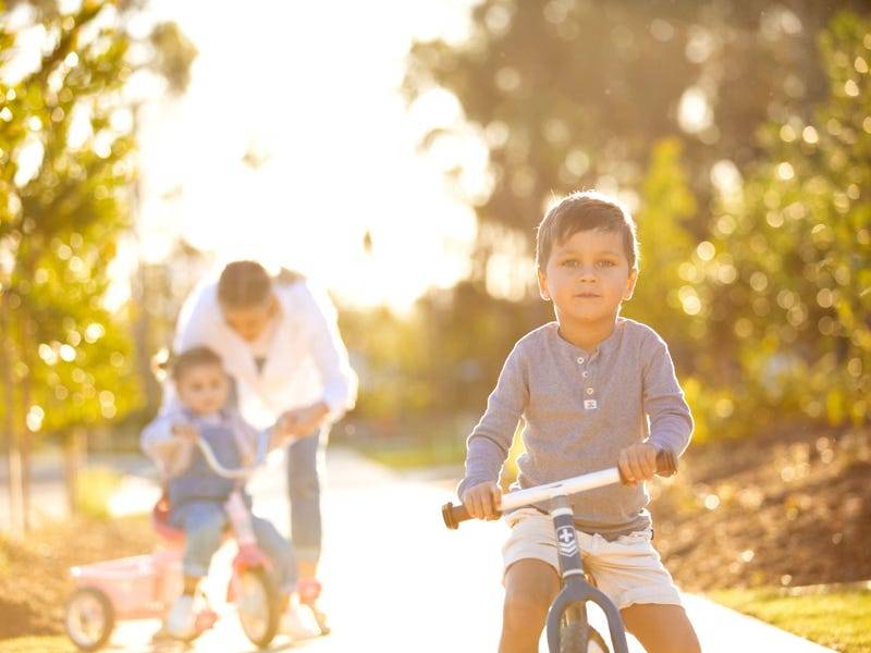 Lot 86, 5 Owen Creek Road, Forest Glen - Thumbnail 4