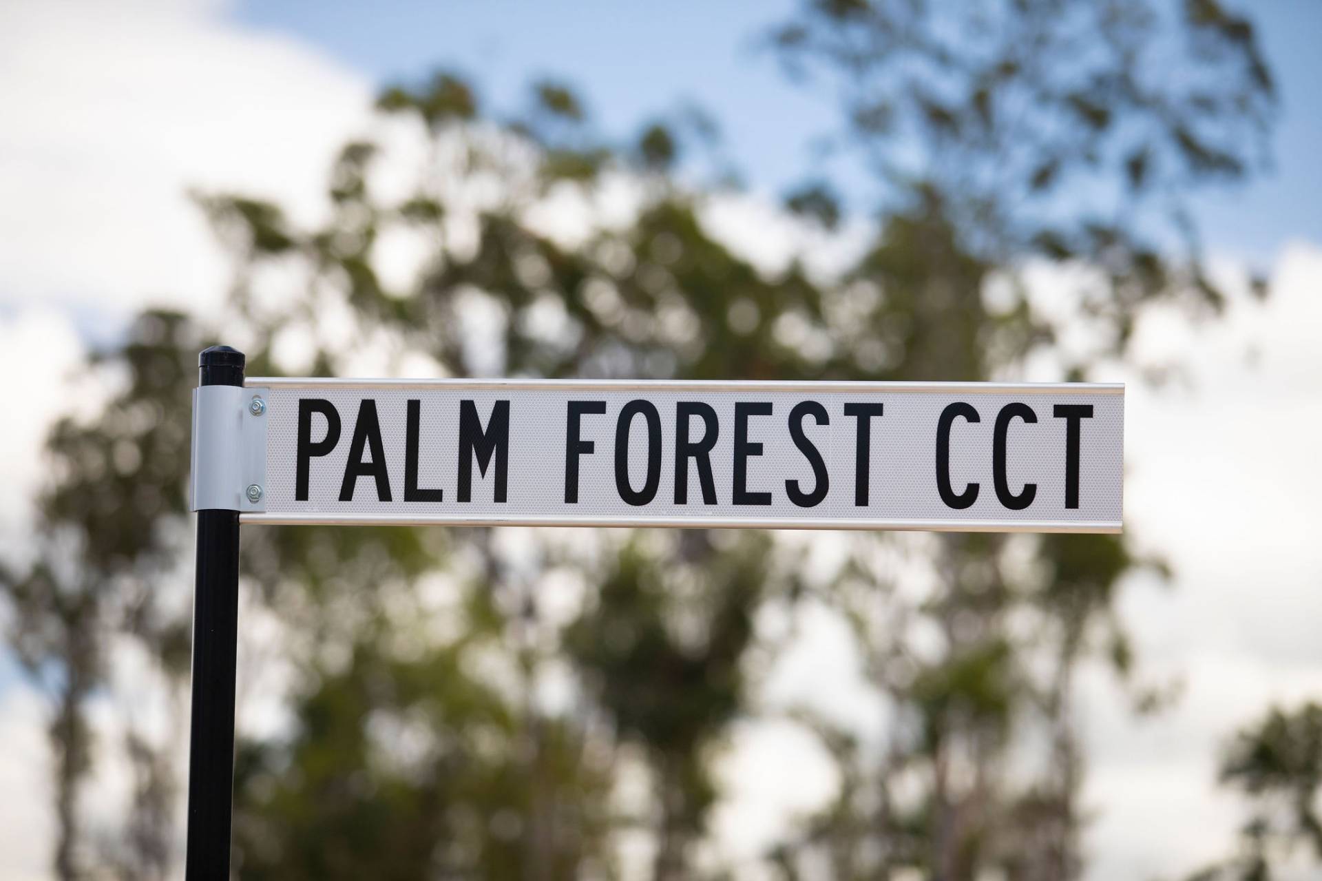 94 Palm Forest Circuit, Forest Glen - Thumbnail 6